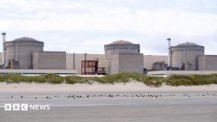 Jellyfish force partial shutdown of French nuclear plant
