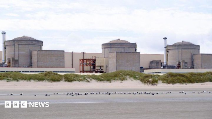Jellyfish force partial shutdown of French nuclear plant