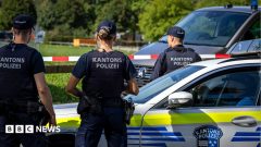Man arrested after Swiss rave shooting that killed woman