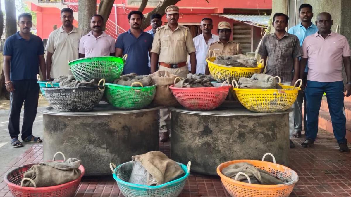 Huge haul of processed sea cucumber seized in Ramanathapuram district
