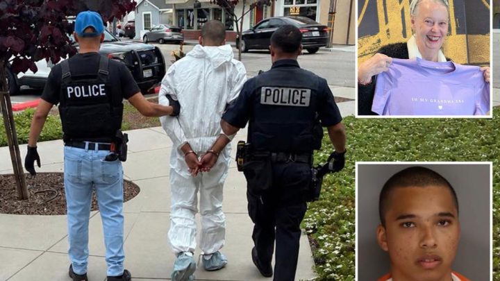 Teen accused of butchering beloved artist in mall attack that shocked quiet California beach town enters stunning plea
