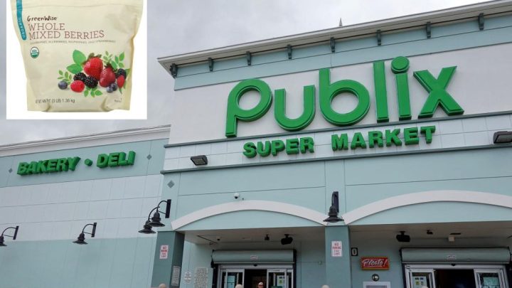 Publix frozen blueberries recalled by FDA now issued highest risk warning due to E. coli strain