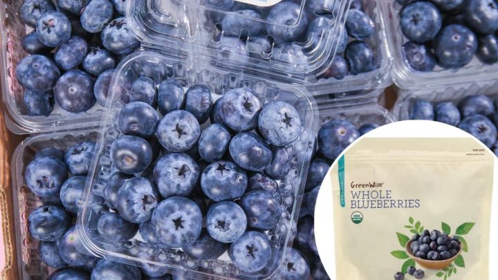 Blueberry recall over deadly E. coli fears hits FDA’s highest-risk level — with 12 sickened, 4 hospitalized
