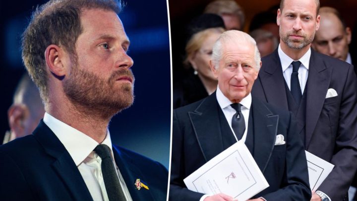 Prince Harry scoffed that William, King Charles were ‘trapped’ in the monarchy before fleeing UK