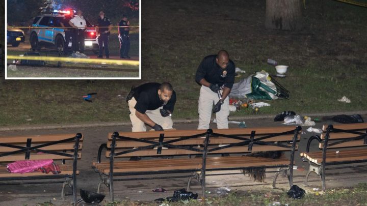 Maniac fatally stabbed 30-year-old mom in NYC park in fit of rage over spurned advances – in front of her son, 7: NYPD