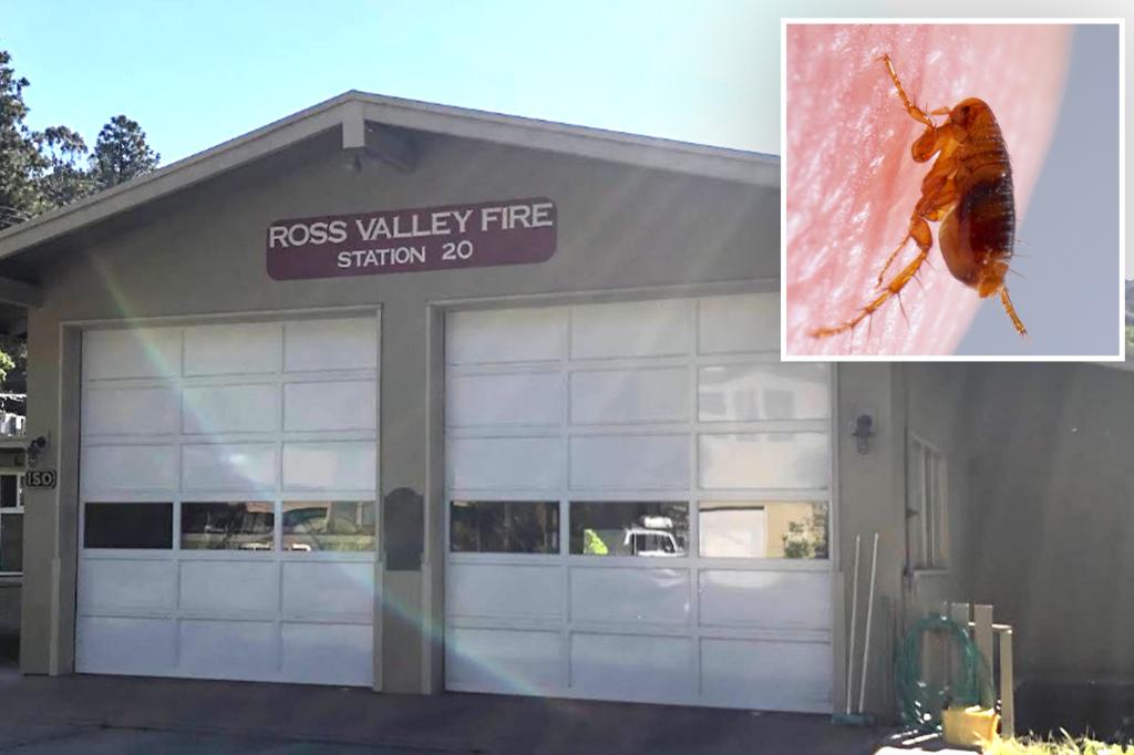 Disgusting infestation forces firefighters to evacuate Bay Area station