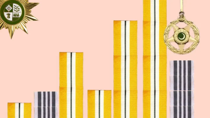 What nine years of Pakistan civil awards look like when you turn them into data