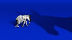 GOP's Senate map gets shakier as Texas, Iowa become toss-ups