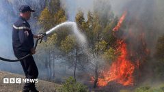 At least 12 dead as wildfires sweep through northern Algeria