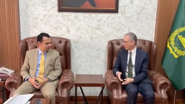 Digital platforms need to take Pakistan's 'specific circumstances' into account, minister tells Google delegation