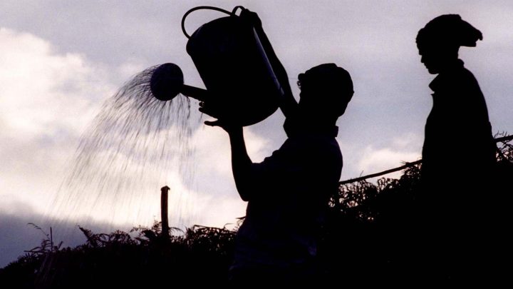 Governments brace for historic El Nino impacts on global weather extremes