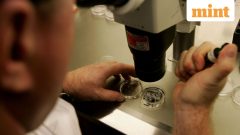 India issues strict curbs and oversight on stem cell therapy