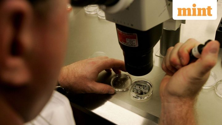 India issues strict curbs and oversight on stem cell therapy