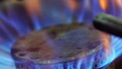 Natural Gas (Development Surcharge) (Amendment) Bill, Gas Infrastructure: Development Cess (Amendment) Bill tabled in NA