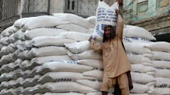 ECC approves international tenders to export surplus sugar