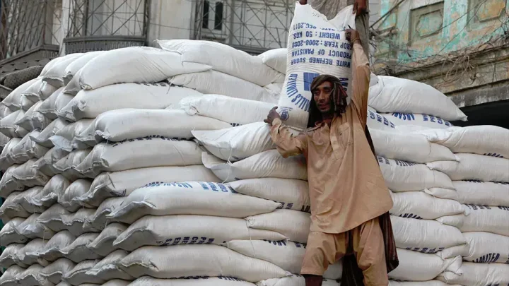 ECC approves international tenders to export surplus sugar