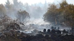Firefighters push to ‘encircle’ Belgian wildfire