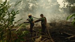 ‘Everything is covered in ash’: Indonesia wildfires leave people in crisis