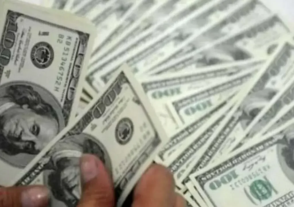 Rupee records gain against US dollar