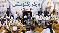 Fazl blames lack of joint opposition for unchecked legislation