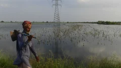 Fixing agriculture