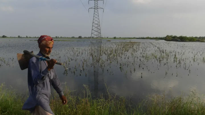 Fixing agriculture