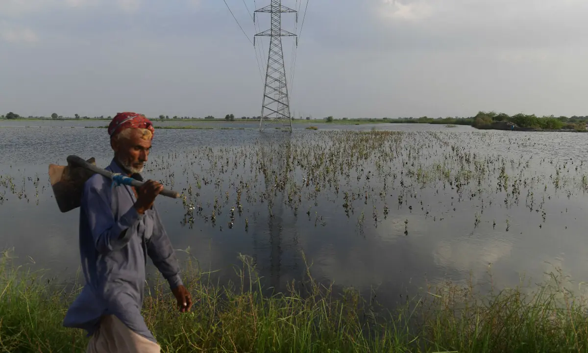 Fixing agriculture