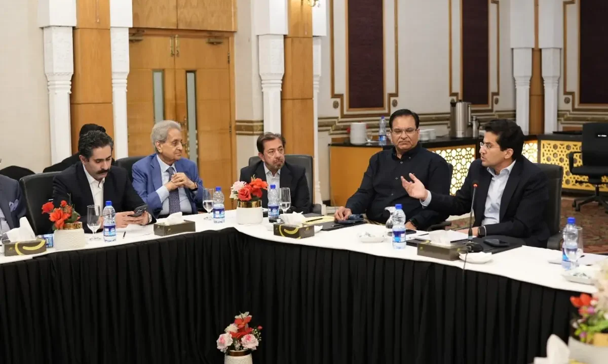 Govt mulls replacing gas subsidy slabs with single price