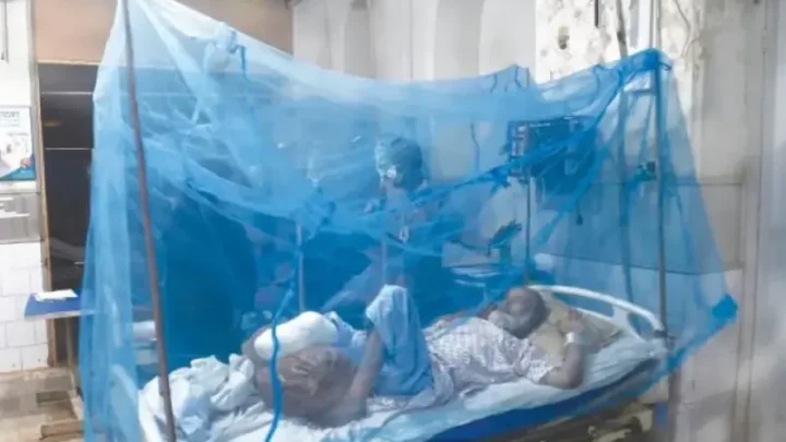 Defeating malaria