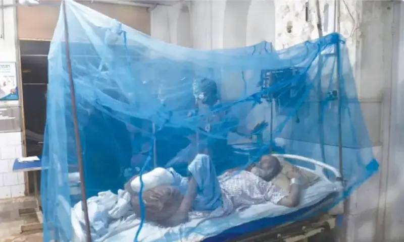 Defeating malaria