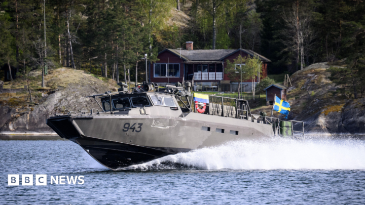 Swedish military seeks to take over Russian-owned estate near naval base
