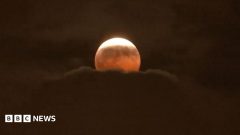 Watch: Stargazers around the world glimpse 'Blood Moon' lunar eclipse