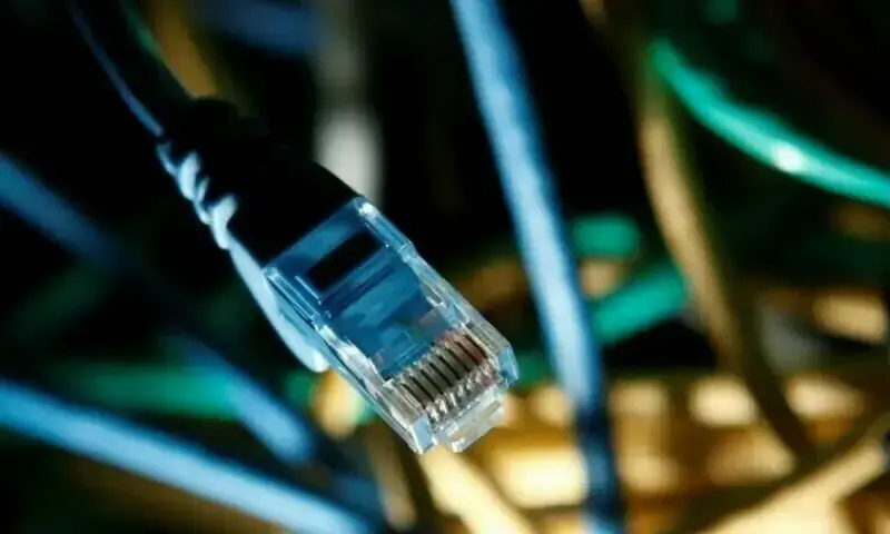 Filling in the connectivity puzzle