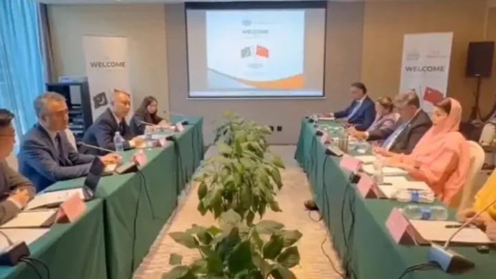 ‘Chinese firm interested in Punjab’s IT sector’