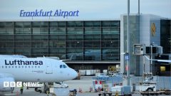 German airport worker dies of malaria after 'mosquito arrives on plane'