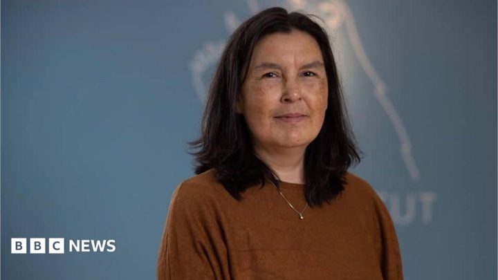 Greenland says findings on genocide allegation not final