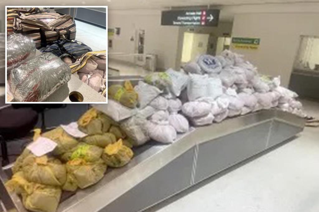 NY men busted at Maryland airport for hauling roughly 850 pounds of khat on flight from London