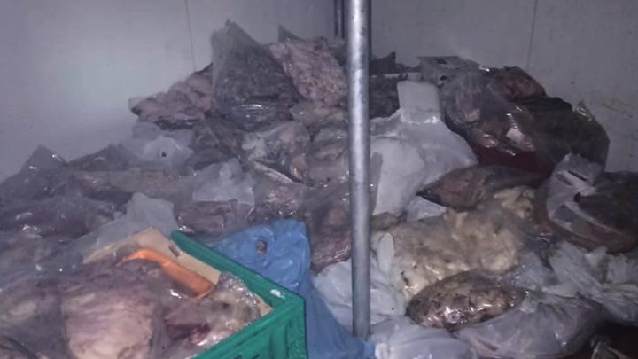 Bodrum’da kötü koku ihbarı ekipleri harekete geçirdi! Depodan 400 kilo bozuk et çıktı