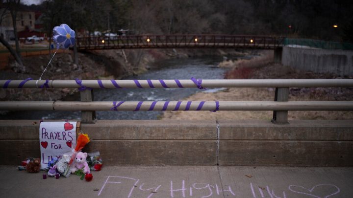 Cousin of 10-year-old Wisconsin girl pleads guilty to her killing and gets life in prison