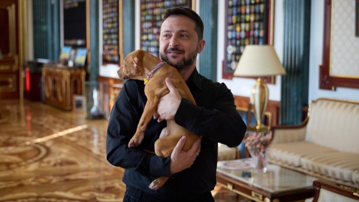 Zelenskyy’s puppy video starts a new volley in his war of visuals against Russia