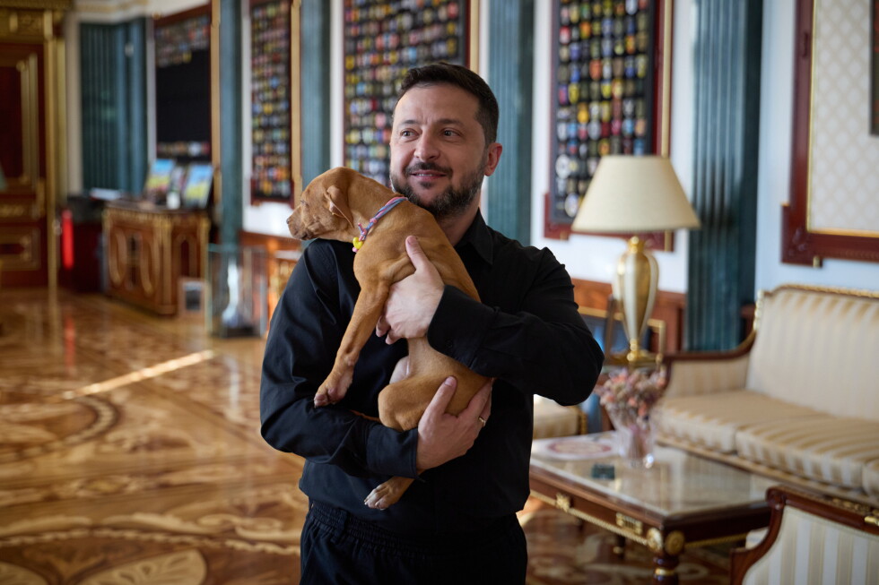 Zelenskyy's puppy video starts a new volley in his war of visuals against Russia