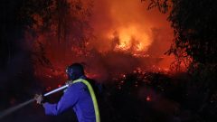 Indonesia battles haze as wildfires rage across South Sumatra forests