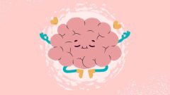 Study Suggests the Human Brain Evolved as Two Separate Organs