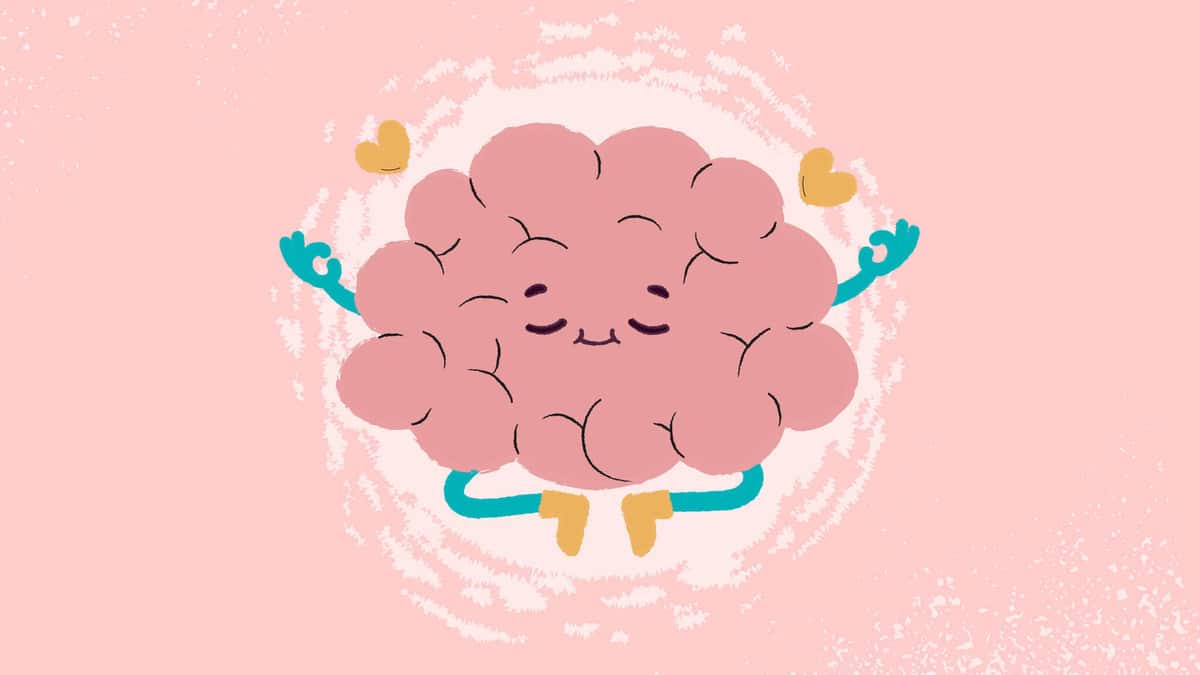 Study Reveals Long-Term Aging In Brain Organoids