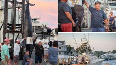 Fishermen stunned when they hooked this massive sea beast — believed to be the biggest of its kind caught on East Coast