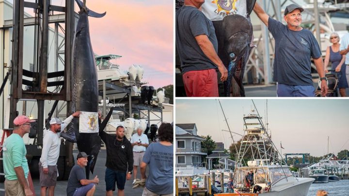 Fishermen stunned when they hooked this massive sea beast — believed to be the biggest of its kind caught on East Coast