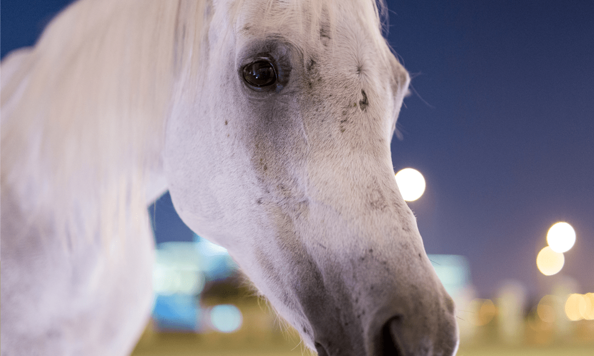 California Tried to Stop Selling Genetically Engineered 'Unicorns'