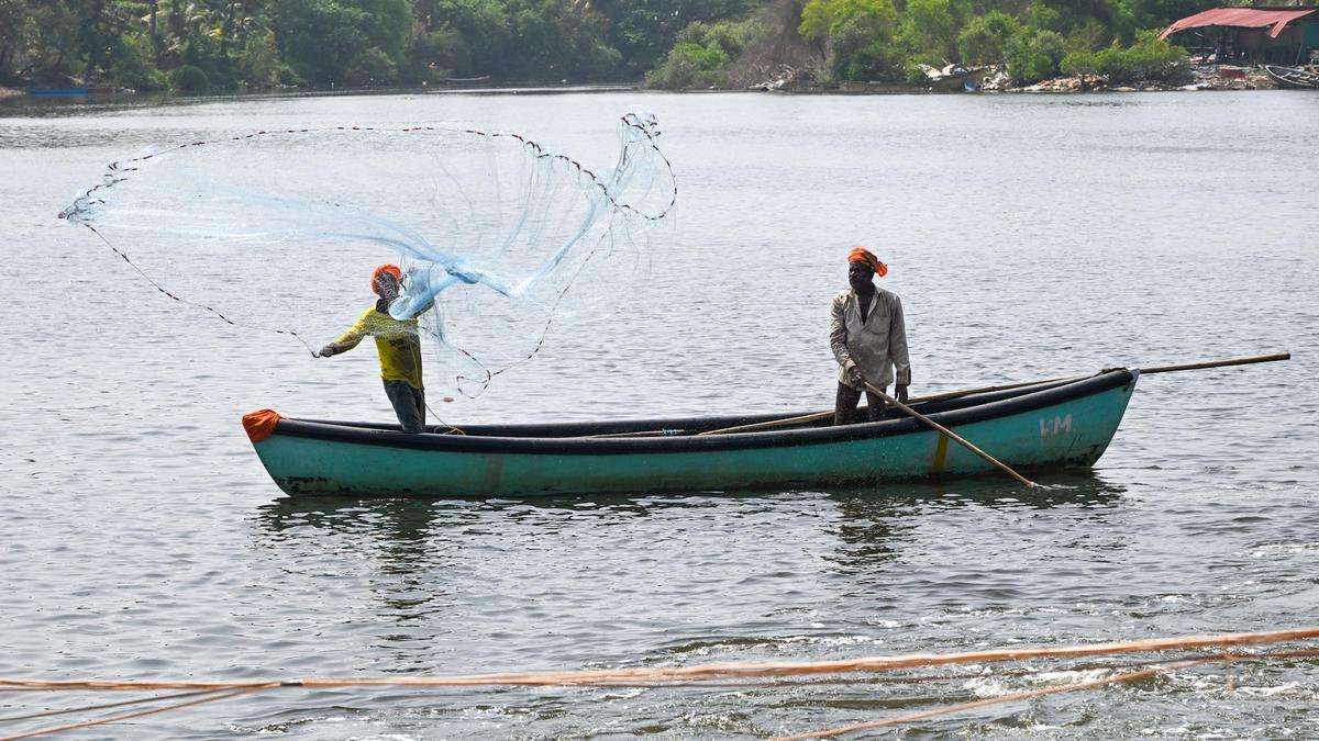 Fishermen deaths in coastal districts rise sharply to 102 in 2025-26