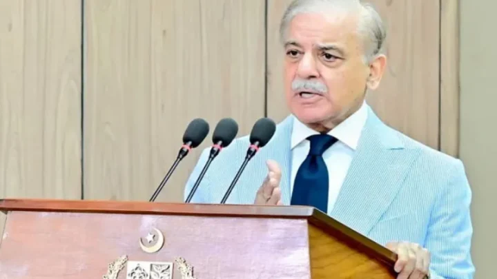 Hostile forces behind terrorism in Balochistan, KP, says PM