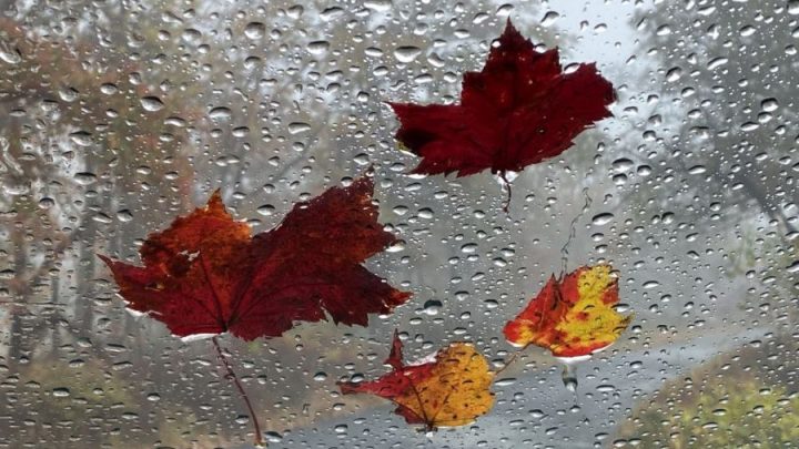 NOAA releases fall weather predictions for all 50 states as El Niño grows stronger
